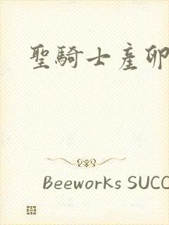 圣骑士产卵记