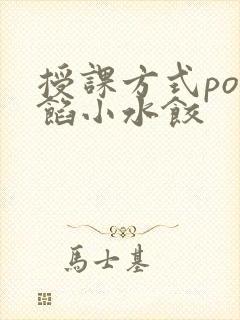 授课方式po肉馅小水饺