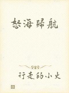 怒海归航