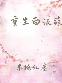 重生白流苏