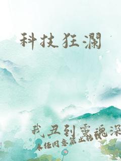 科技狂澜