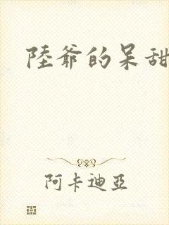 陆爷的呆甜萌妻