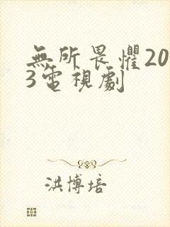 无所畏惧2023电视剧