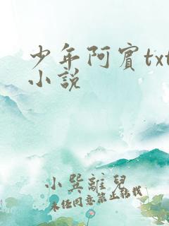 少年阿宾txt小说