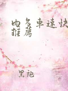 肉多车速快的书推荐