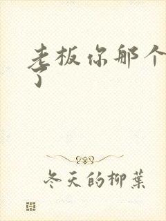 老板你那个太长了