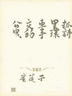 公交车里抓着摇曳的手环诗情