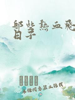 那些热血飞扬的日子