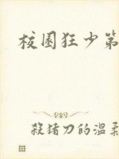 校园狂少第二部