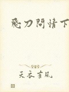 飞刀问情下载