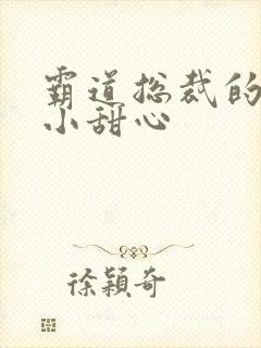 霸道总裁的宠爱小甜心