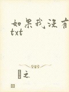 如果我没有爱过txt