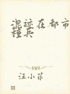 混迹在都市的特种兵