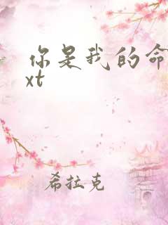 你是我的命运txt