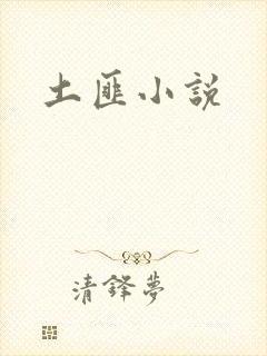土匪小说