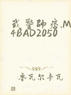 武警帅痞.MP4BAD2050