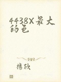 4438X最大的色
