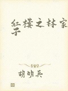 红楼之林家庶长子