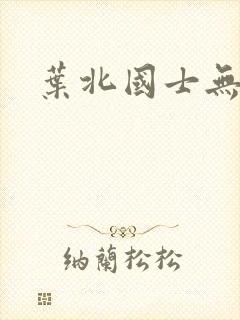 叶北国士无双