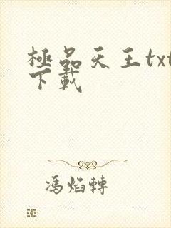 极品天王txt下载
