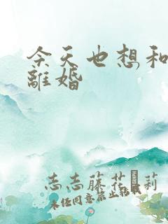 今天也想和霸总离婚