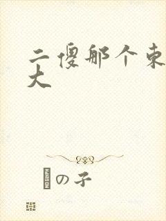 二傻那个东西真大