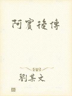 阿宾后传