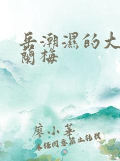 岳潮湿的大肥赵兰梅