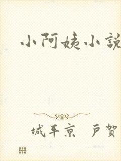 小阿姨小说