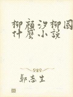 柳颜汐柳国安是什么小说