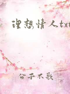 理想情人txt