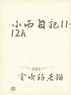 小雨日记11-12h