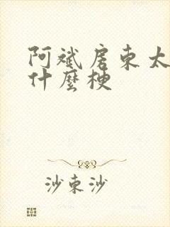 阿斌房东太太是什么梗