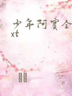 少年阿宾全集txt