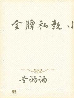 金牌私教 小说