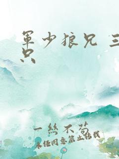 军少狼兄 三两只