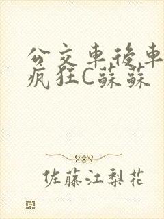 公交车后车座的疯狂C苏苏