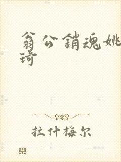 翁公销魂姚瑶琦琦