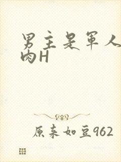 男主是军人的肉肉H