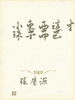 小东西这才一颗珠子而已