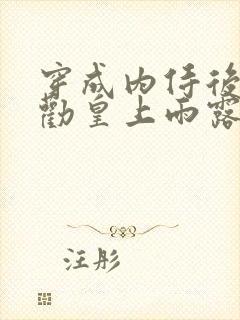 穿成内侍后总在劝皇上雨露均沾