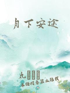 月下安途