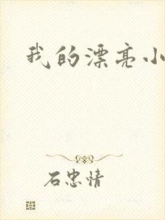 我的漂亮小后妈