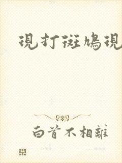 现打斑鸠现钳毛