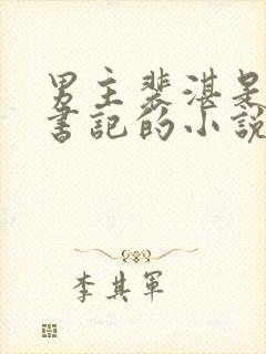 男主裴湛是省委书记的小说