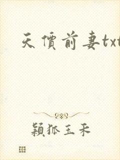 天价前妻txt