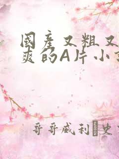 国产又粗又黄又爽的A片小说