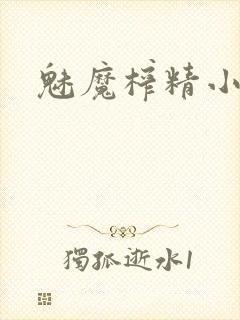 魅魔榨精小说