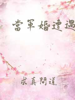 当军婚遭遇爱情
