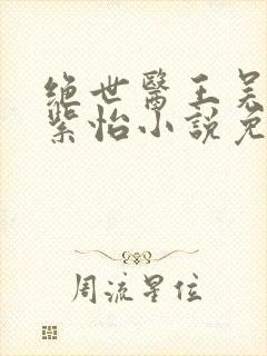 绝世医王吴北唐紫怡小说免费阅读